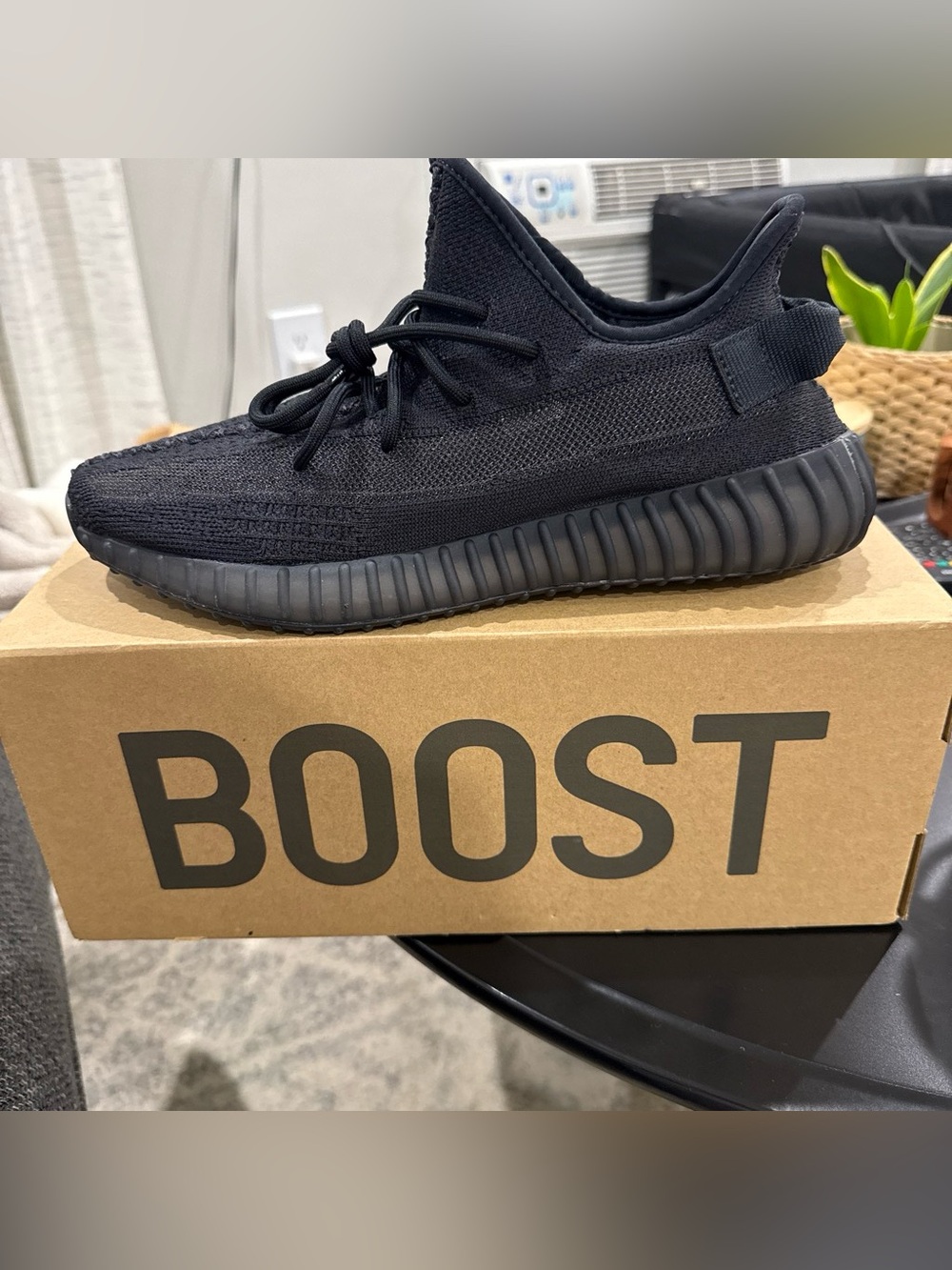 Brand New Yeezy 350 v2